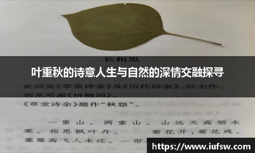 易倍emc体育平台